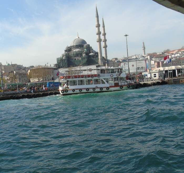 DSC02426 (700x661, 483Kb)