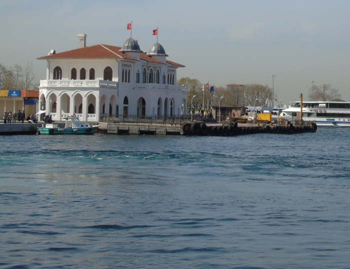 DSC02462 (700x537, 348Kb)