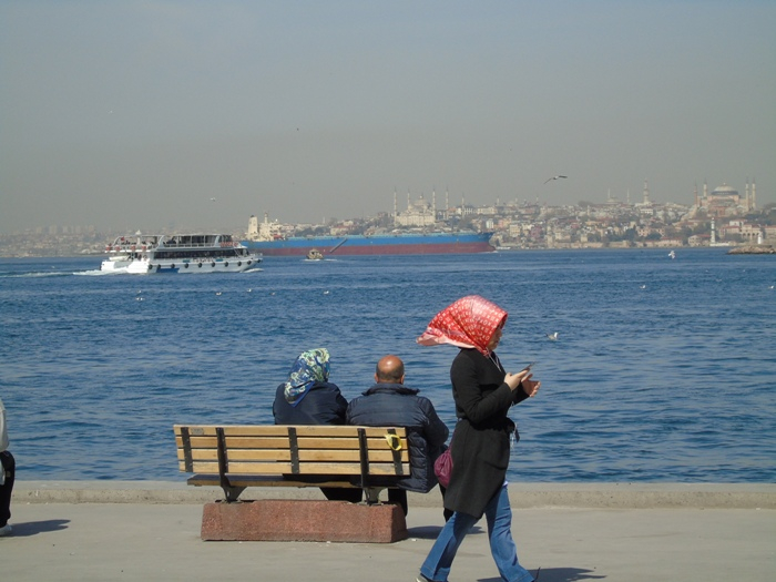 DSC02468 (700x525, 295Kb)