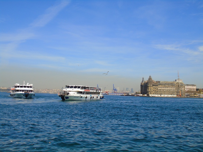 DSC02489 (700x525, 324Kb)