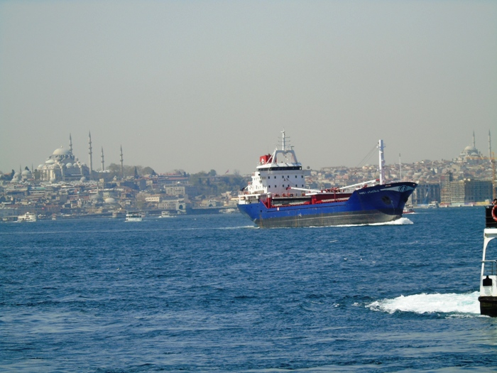 DSC02631 (700x525, 332Kb)