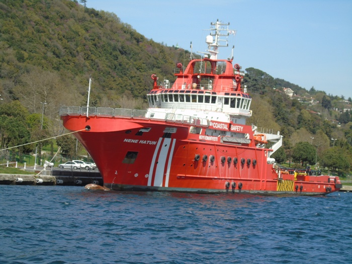 DSC02695 (700x525, 393Kb)