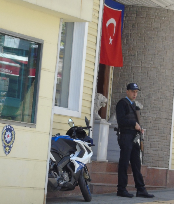 DSC02767 (596x700, 346Kb)