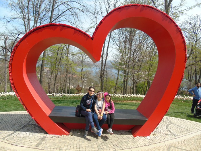 DSC02806 (700x525, 437Kb)