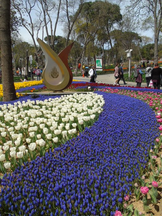 DSC02829 (525x700, 500Kb)