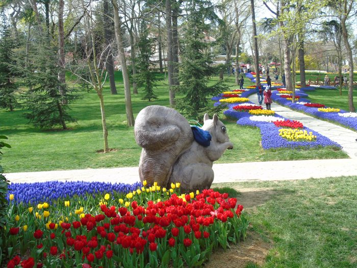 DSC03011 (700x525, 475Kb)