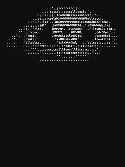 chVMPoktUSo (440x588, 25Kb)