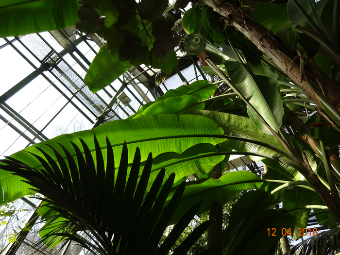 DSC03972 (700x525, 493Kb)
