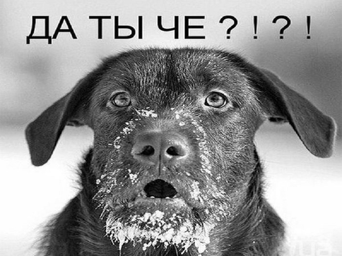 image (44) (700x525, 95Kb)