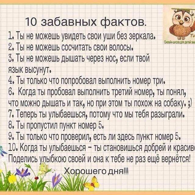 10пукнтов (640x640, 109Kb)