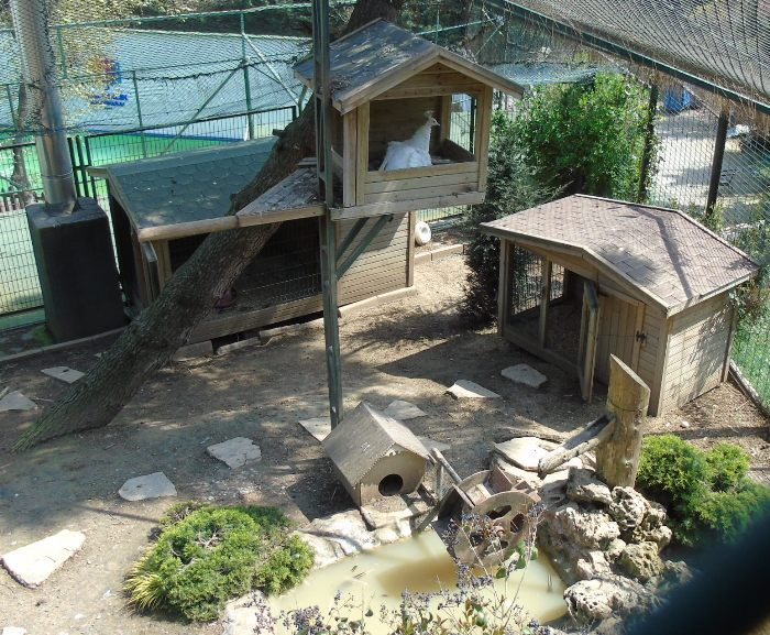 DSC00516 (700x577, 471Kb)