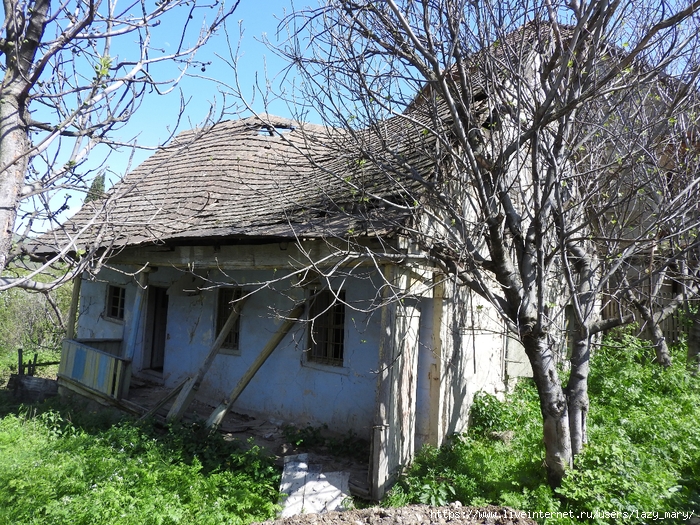 DSCN4893 (700x525, 492Kb)