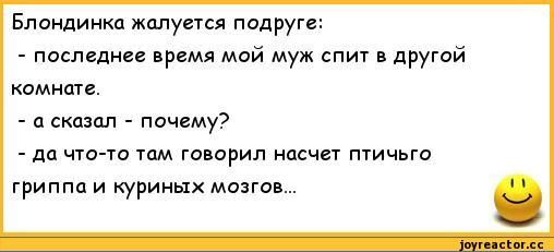 анекдоты-анекдоты-про-блондинок-328921 (508x231, 52Kb)