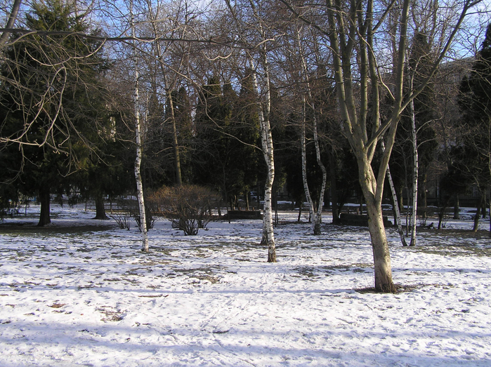 PC300020 (700x523, 563Kb)