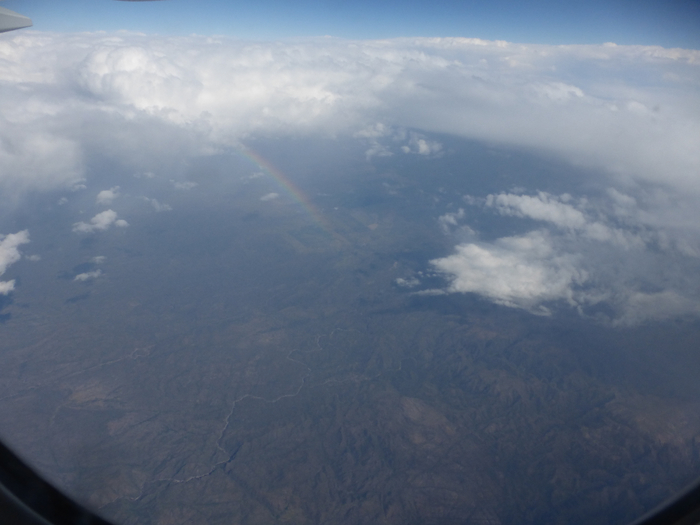 P1330377 (700x525, 258Kb)