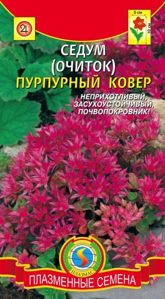 sedum-ochitok-purpurnyy-kover-340x616 (340x616, 230Kb)