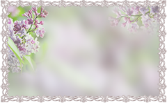 1450 (240x149, 68Kb)