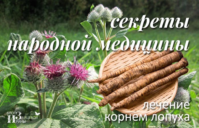 Смотреть Сезон нудистских пляжей наступил видео Смотреть Сезон нудистских пляжей наступил видео