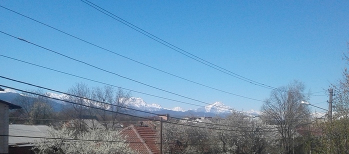 20180422_093548 (700x308, 96Kb)