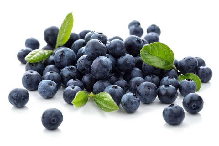 blueberry (700x466, 25Kb)