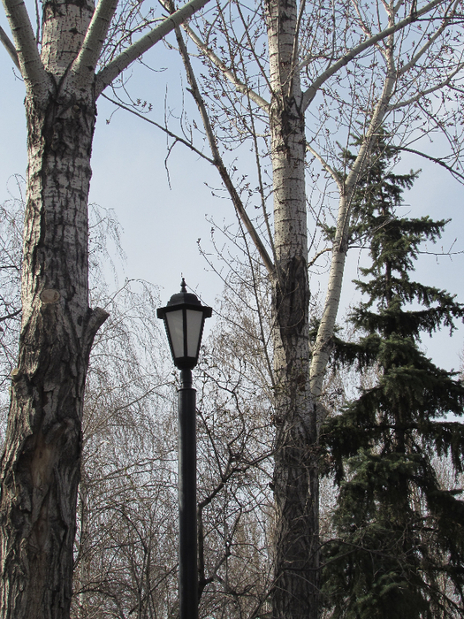IMG_0249 (525x700, 581Kb)