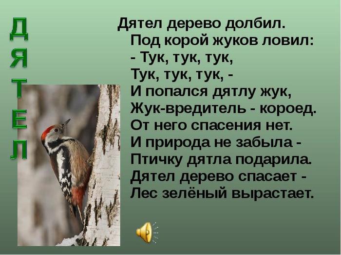 Раздается стук дятла и лес наполняется птичьим пением схема предложения