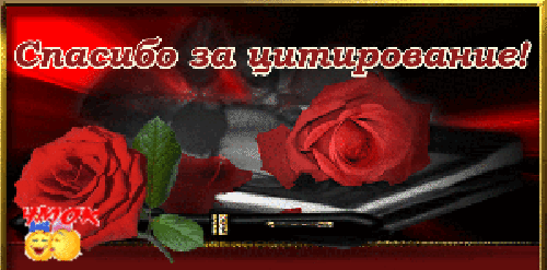 oie_overlay5 (500x247, 651Kb)