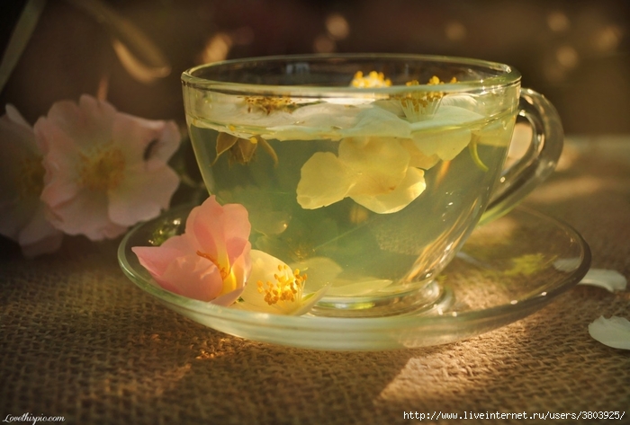 23337-Blossom-Tea (700x473, 213Kb)