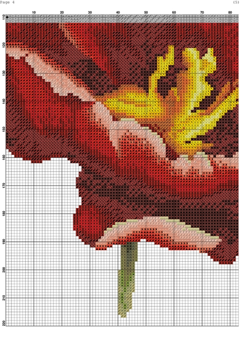 4496_Red Tulip-004 (494x700, 479Kb)