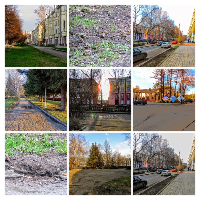 IMG_8673-COLLAGE (700x700, 636Kb)