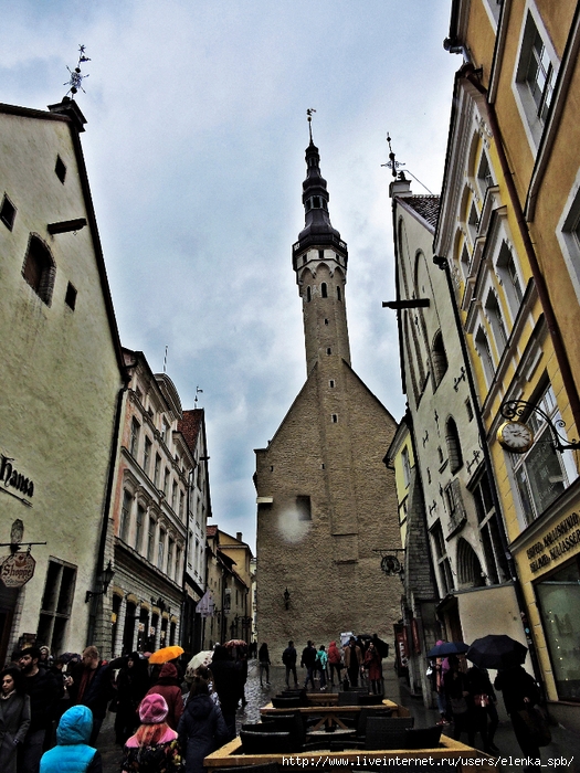 DSCN4817 (525x700, 358Kb)