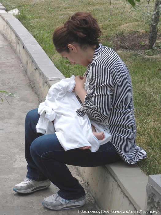 DSCN5247 (525x700, 337Kb)