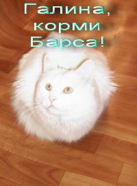   (200x270, 23Kb)
