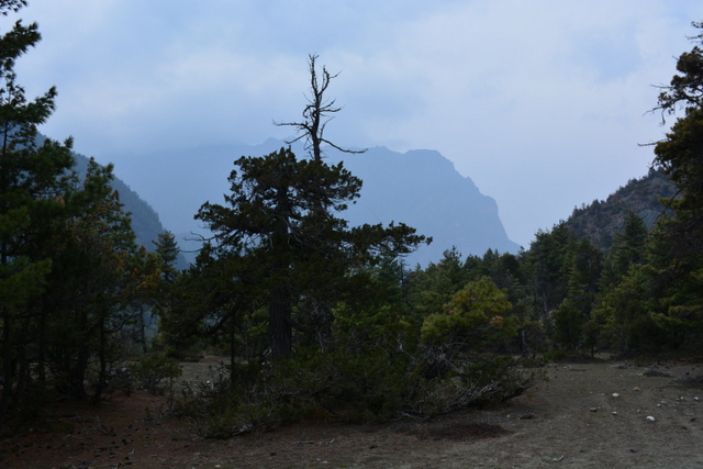 DSC_0521 (640x427, 259Kb)