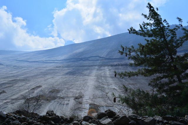DSC_0495 (640x427, 286Kb)