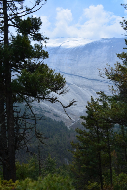DSC_0510 (427x640, 336Kb)