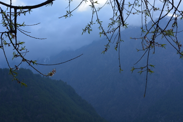 DSC_0560 (640x427, 252Kb)