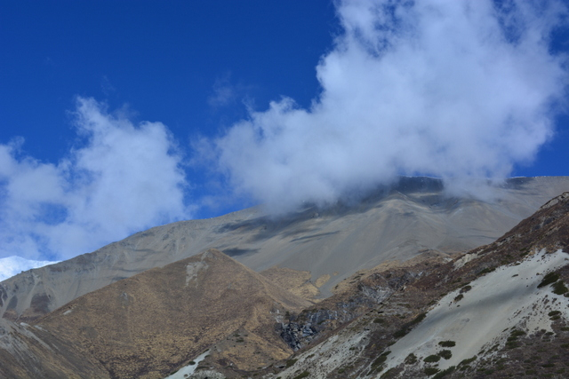 DSC_0647 (640x427, 227Kb)