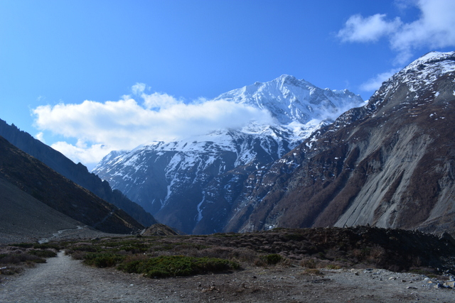 DSC_0649 (640x427, 277Kb)