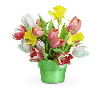 flowers (335x310, 58Kb)