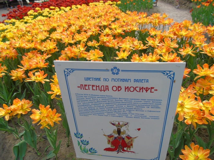 DSC01388 (700x525, 509Kb)