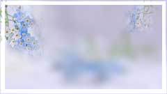 ytpf,elrb (240x135, 6Kb)