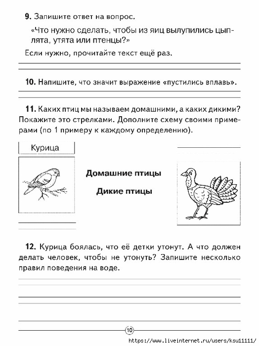 Комплексная работа пингвины ответы