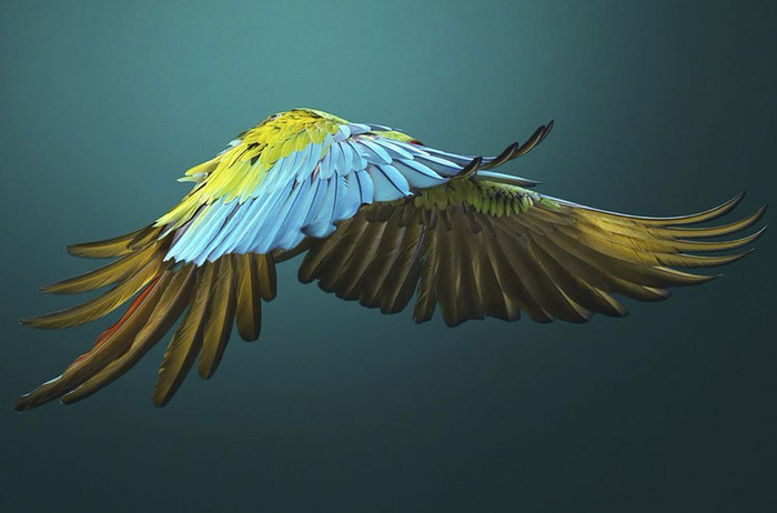 9 (700x462, 192Kb)