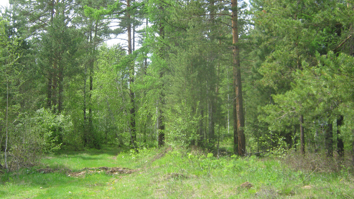 IMG_3641 (700x392, 487Kb)