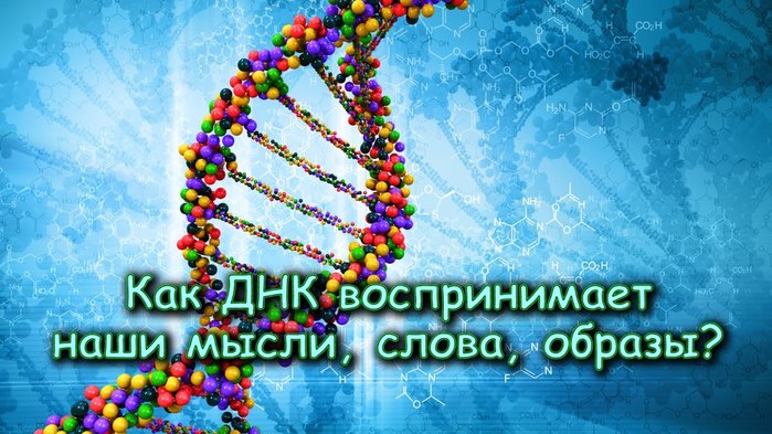 6098670_foto7_vliyanie_SLOVA_na_DNK_cheloveka (700x393, 92Kb)