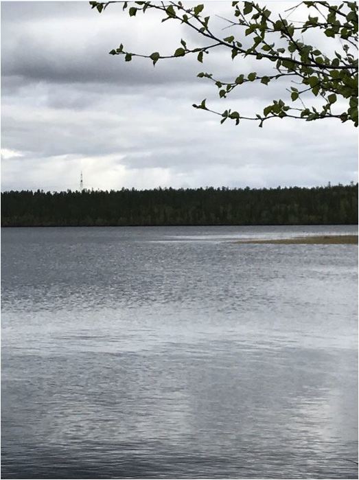 2376545 (523x700, 61Kb)