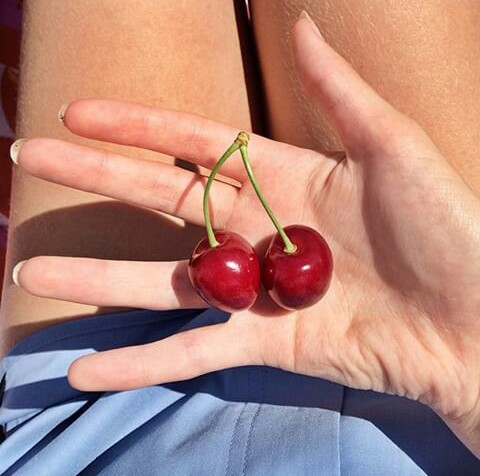 cherry10 (480x476, 169Kb)