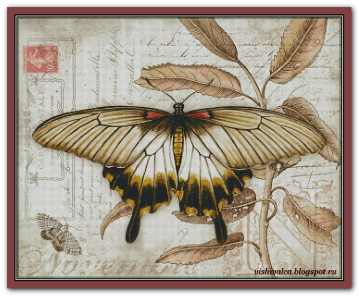 vintage butterfly 3 (700x577, 426Kb)