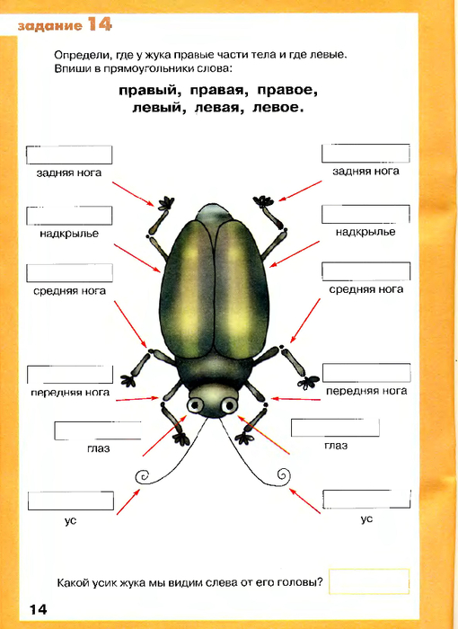 Orientirovka_na_ploskosti_i_v_prostranstve-1_16 (510x700, 234Kb)